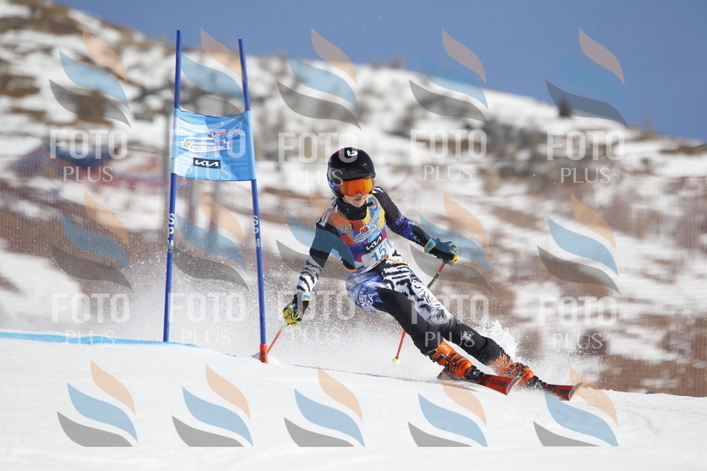 _U3G8743 | holidayphoto