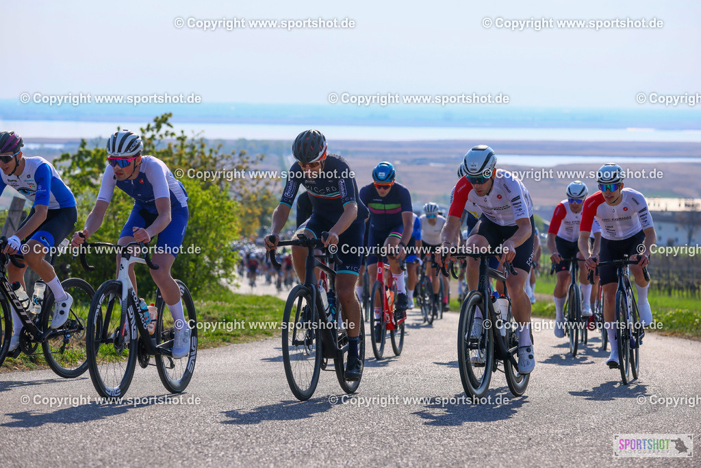 TRA_55190 (45) | Neusiedlersee Radmarathon 2026@sportshot_your_pictrs #yourpictures#roadtowm2029 #nrm #neusiedlerseeradmarathon #neusiedlersee #neusiedlerseetourismus #burgenland #mörbisch #nrm26 #burgenlandtourismus #voglundco #poweredbyburgenlandtourismus #radsport #rad #marathon #ucigranfondo #visitburgenland #ucigranfondoworldseries