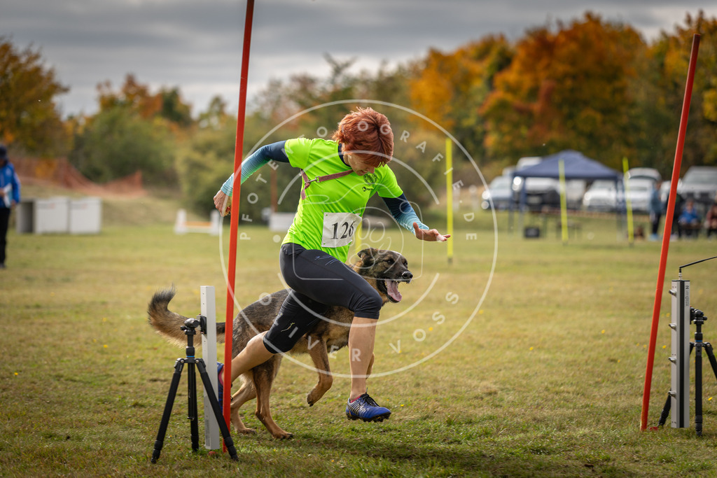 Pfotenfotografie_DV3A7016 | Hundefotografie, Tierfotograf, Pfotenfotografie, Fotoshooting Hund, Hunde Portrait, Hundesport, Hundeportraits, Heideshooting, Hunde, Sportfotograf, Hundefotograf, Turnierhundsport, THS,  - Realisiert mit Pictrs.com