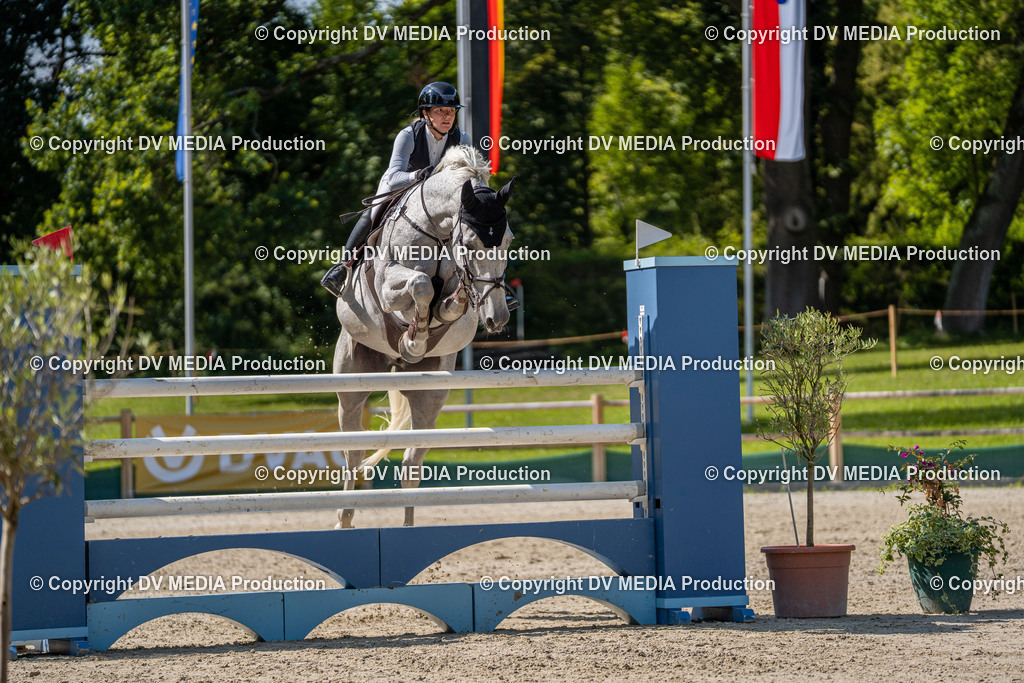 Hessische Tag 1-1597 | dv-media-shop - Realisiert mit Pictrs.com