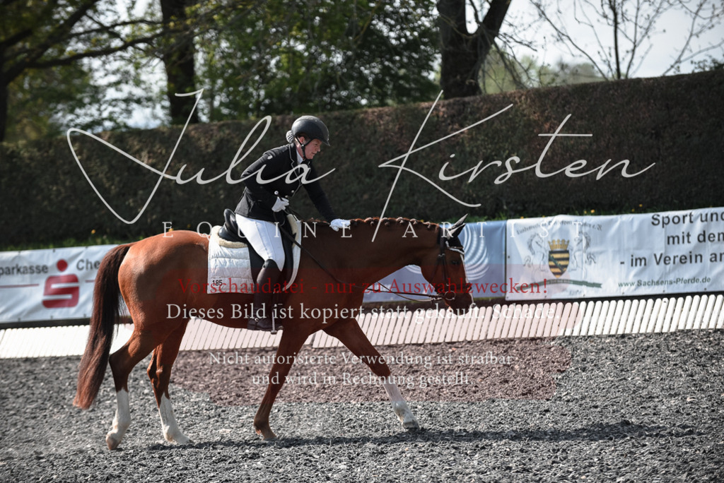 20230513_JK-Röhrsdorf-14-255 | Pferde- und Turnierfotografie in Westsachsen. Pferdeportraits, Auftragszeichnungen und intuitive Kunst.