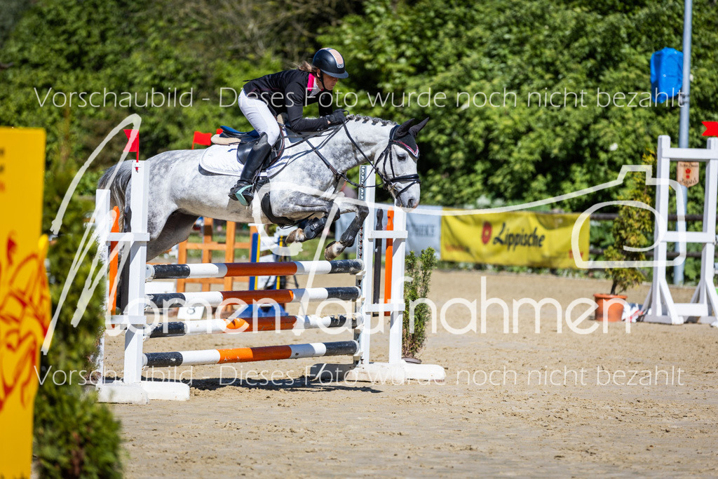 Donop24-A2Spr-177 | MomenTaufnahmen Pferdesportfotos