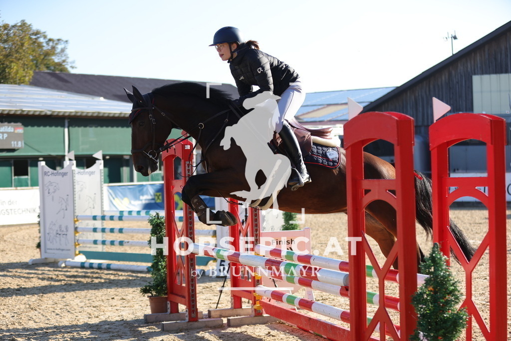 0P6A8851 | Willkommen bei Brunnmayr - Design & Fotografie – Ihrem Spezialisten für Reitturniere und Pferdeveranstaltungen in Oberösterreich, Salzburg und Bayern! Seit über 17 Jahren sind wir leidenschaftlich dabei.