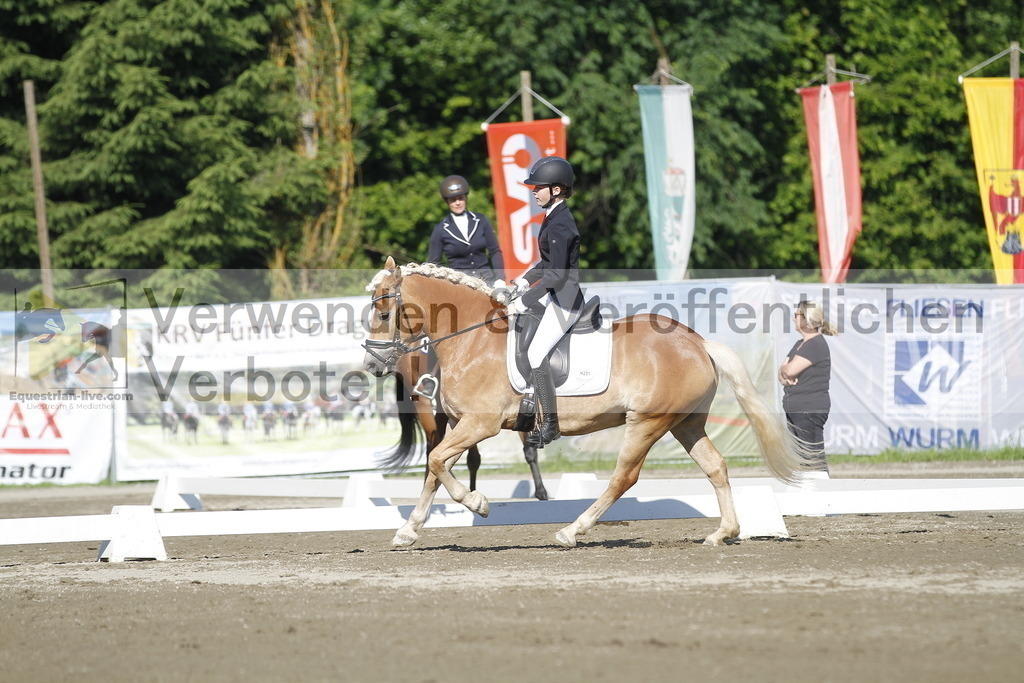 _MG_0537 | equestrian-live-com