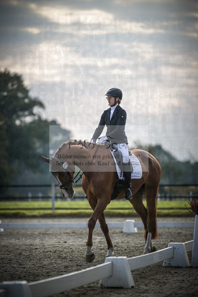 DOS_B058 | Entdecke hochwertige Reitturnierfotos von Foto Oger. Professionell, emotional und authentisch – jetzt Lieblingsmomente im Shop bestellen.Deutschlandweite Turnierfotografie. - Realisiert mit Pictrs.com