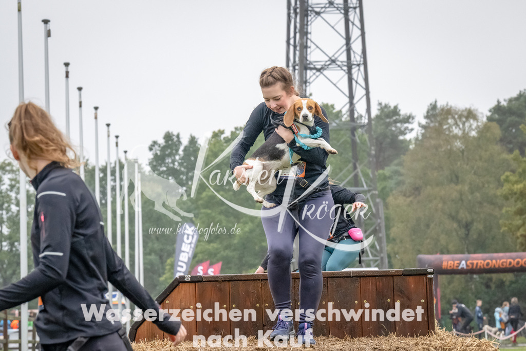 1229--6 | kk-dogfotos