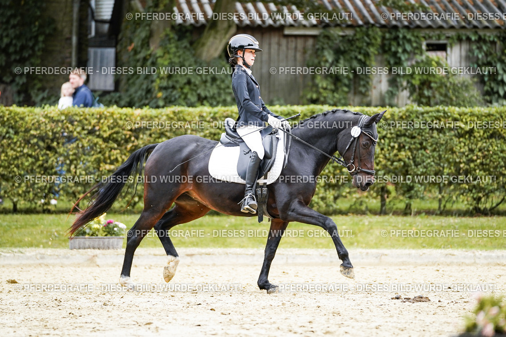 DSC09528 | Pferdegrafie