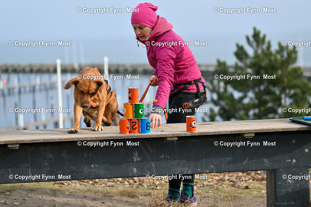DSC_6499 | Hallo und herzlich Willkommen auf meiner Shop-Seite Fynn Most.

Ich wünsche Dir viel Spaß beim stöbern durch die Bilder, wenn Du Fragen hast oder Bilder vermisst, kannst du mir gerne eine Nachricht schreiben. - Realisiert mit Pictrs.com