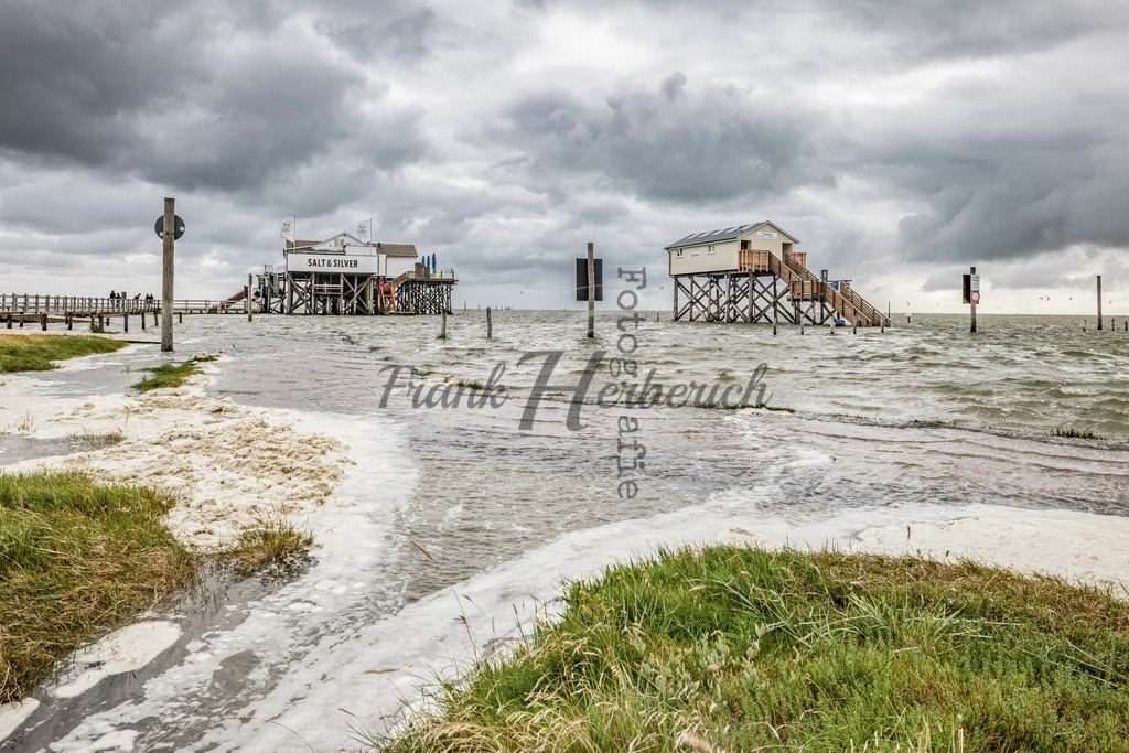 St. Peter Ording | Frank Herberich Fotografie, Frank Herberich, Fotografie, Hochzeit, Portrait, St. Peter Ording, Ording, Westerhever, Nordsee, Frank Fotografie, Hardheim,  Odenwald,Walldürn, Band,Eventfotografie - Realisiert mit Pictrs.com