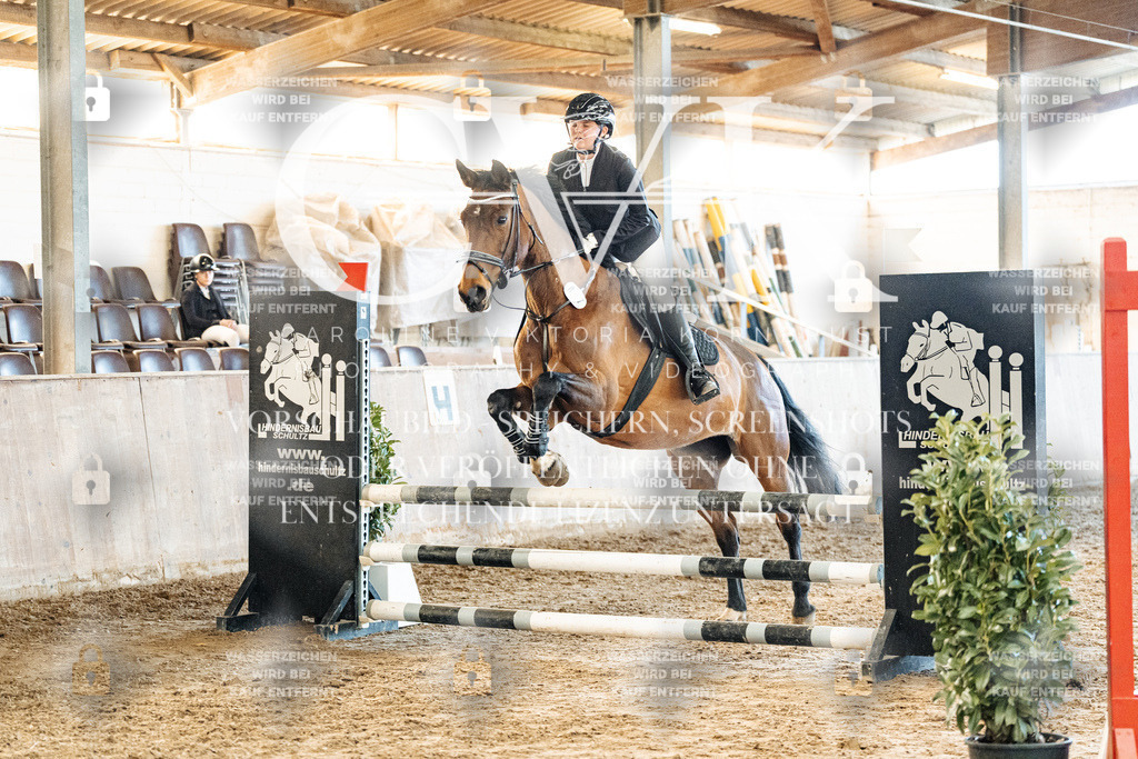 CK904771 | Turnierfotografie Pferdefotografie Trier Rheinland-Pfalz Pferdesport Reitsport Tierfotografie Sportfotografie Pferdevideo Pferdevideografie Equestrianvideography equestrianphotography  - Realisiert mit Pictrs.com