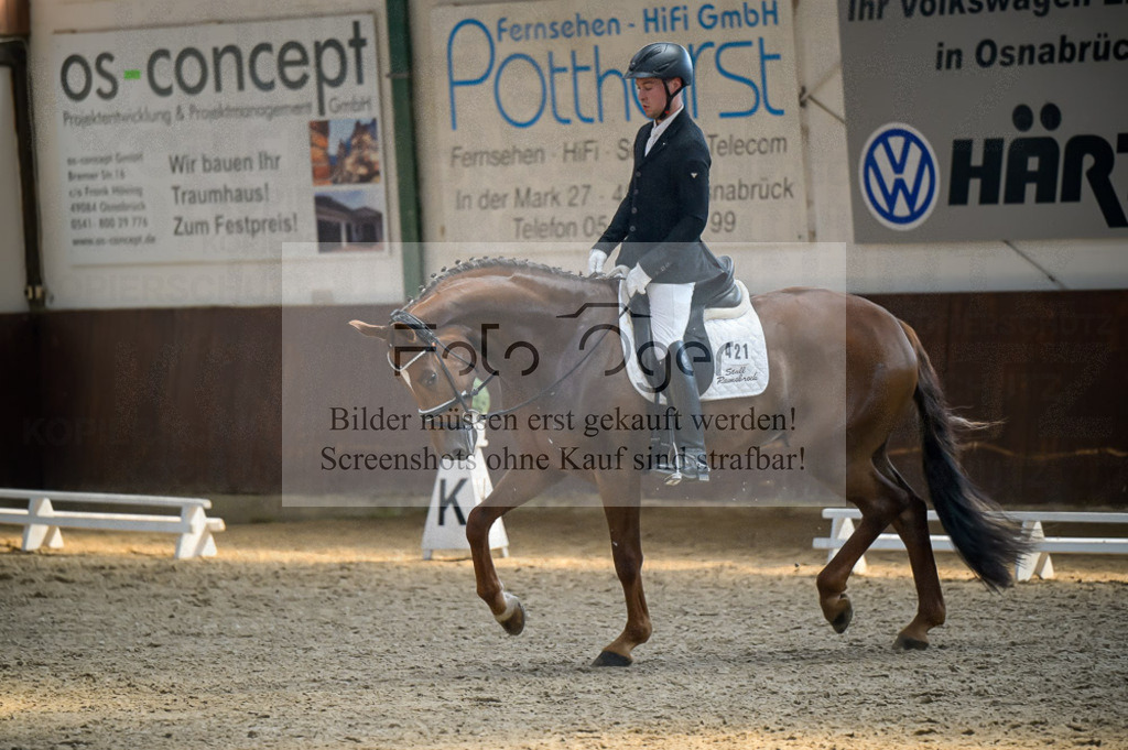 Reitturnier Voxtrup | Entdecke hochwertige Reitturnierfotos von Foto Oger. Professionell, emotional und authentisch – jetzt Lieblingsmomente im Shop bestellen.Deutschlandweite Turnierfotografie. - Realisiert mit Pictrs.com