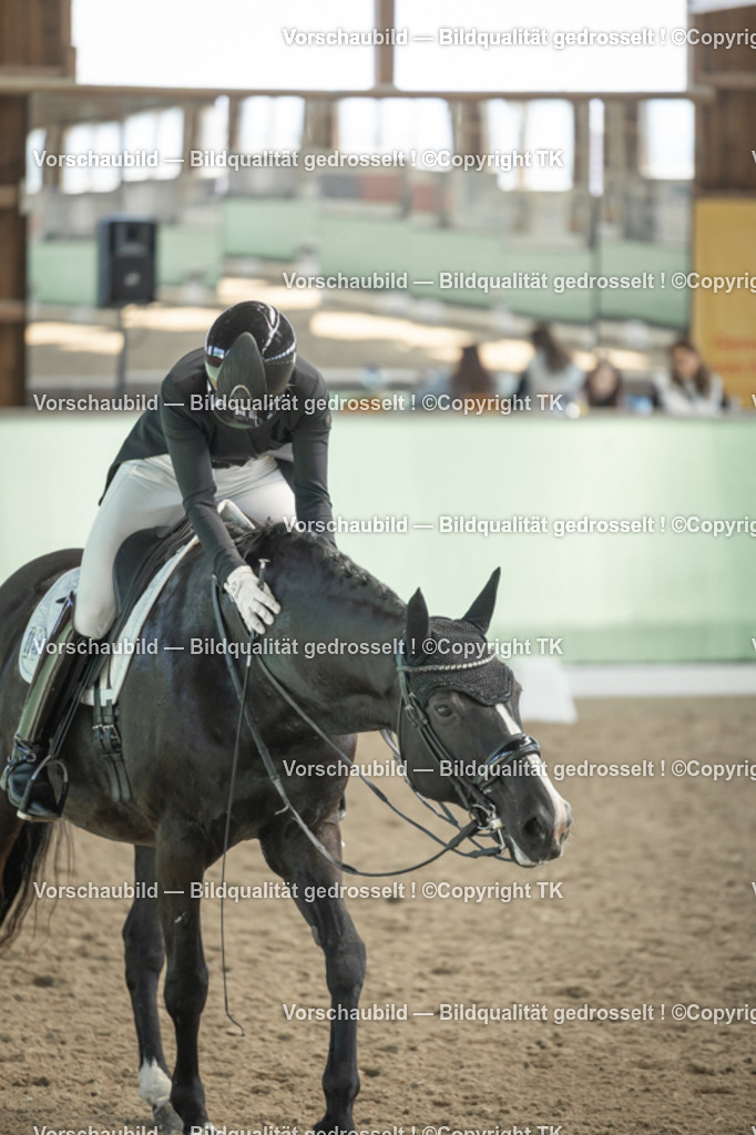 _D5A2142 | Emotionale Pferde- & People-Fotografie rund um Heidelberg, Leimen & Umgebung. Natürliche Fotos von Pferd, Mensch & Familie. Jetzt Termin sichern!