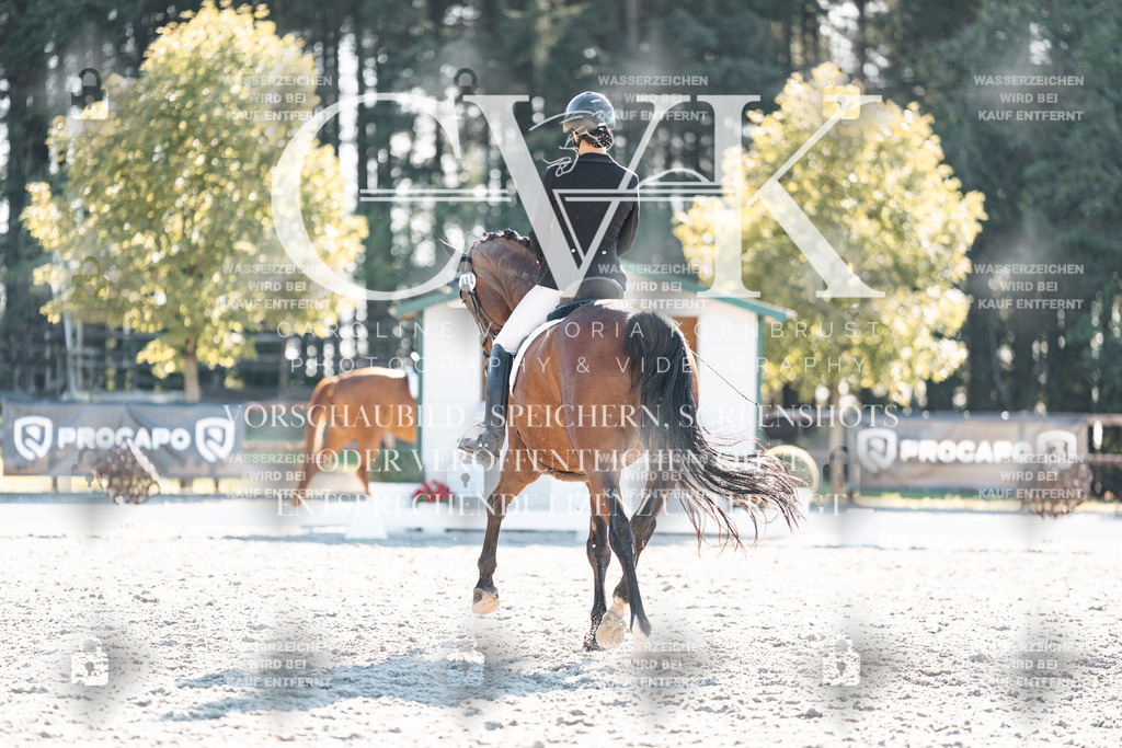 CK906762 | Turnierfotografie Pferdefotografie Trier Rheinland-Pfalz Pferdesport Reitsport Tierfotografie Sportfotografie Pferdevideo Pferdevideografie Equestrianvideography equestrianphotography  - Realisiert mit Pictrs.com