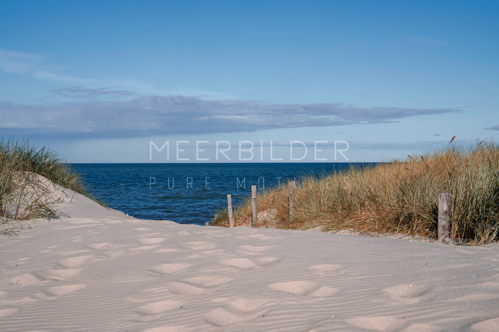 Ostseebild mit Dünenweg | Dieses Ostseebild mit Dünenweg bei blauem Himmel und der Ostsee im Hintergrund ist ein echter Blickfang. Der weiche Sand, der bei jedem Schritt leicht nachgibt, lässt Sie förmlich in die Szene eintauchen. Ganz gleich in welchem Format Sie dieses Bild wählen, es wird Ihre Räume mit einer beruhigenden Atmosphäre füllen. Wenn Sie Fragen haben oder weitere Informationen benötigen, zögern Sie nicht, uns zu kontaktieren. Lassen Sie sich von der Schönheit und Gelassenheit der Düne inspirieren und bringen Sie dieses Stück Natur in Ihr Zuhause.