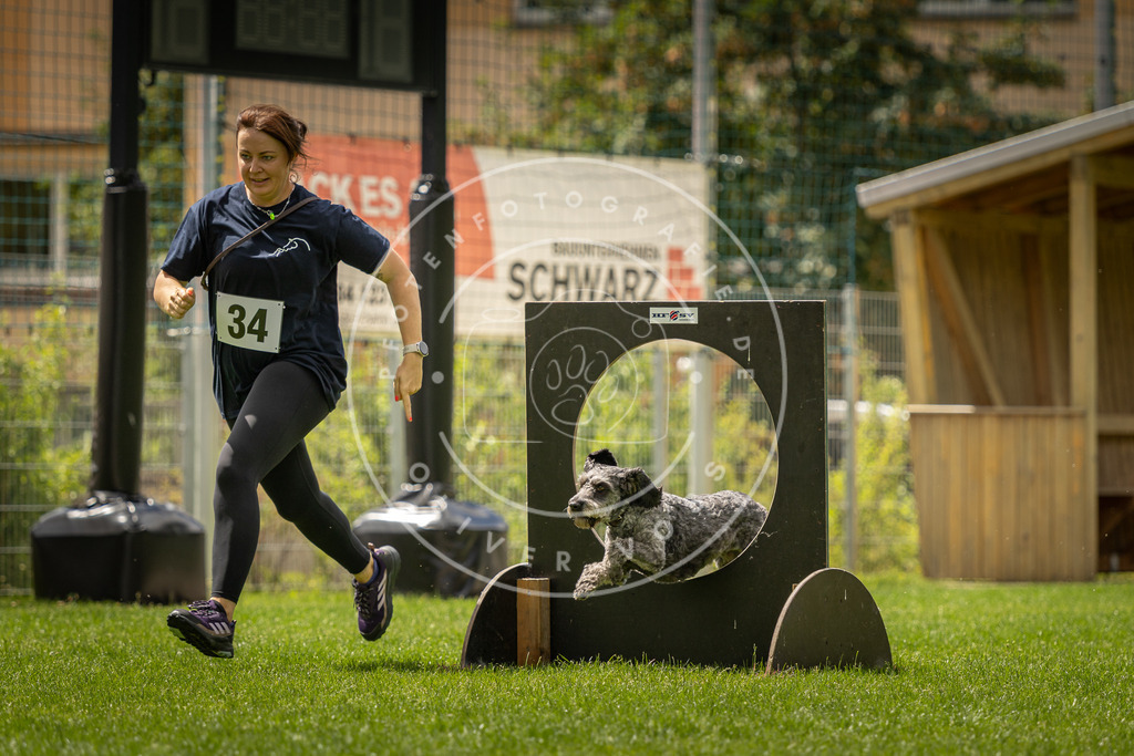 Pfotenfotografie_DV3A3370 | Hundefotografie, Tierfotograf, Pfotenfotografie, Fotoshooting Hund, Hunde Portrait, Hundesport, Hundeportraits, Heideshooting, Hunde, Sportfotograf, Hundefotograf, Turnierhundsport, THS,  - Realisiert mit Pictrs.com