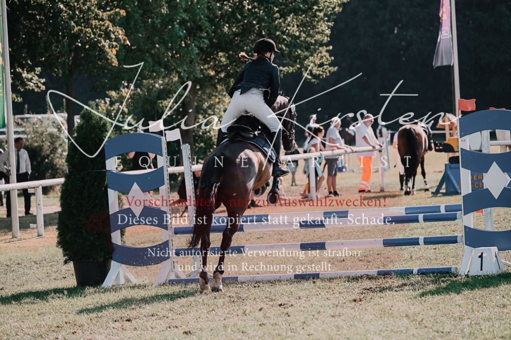 DSC_4801 | Pferde- und Turnierfotografie in Westsachsen. Pferdeportraits, Auftragszeichnungen und intuitive Kunst.