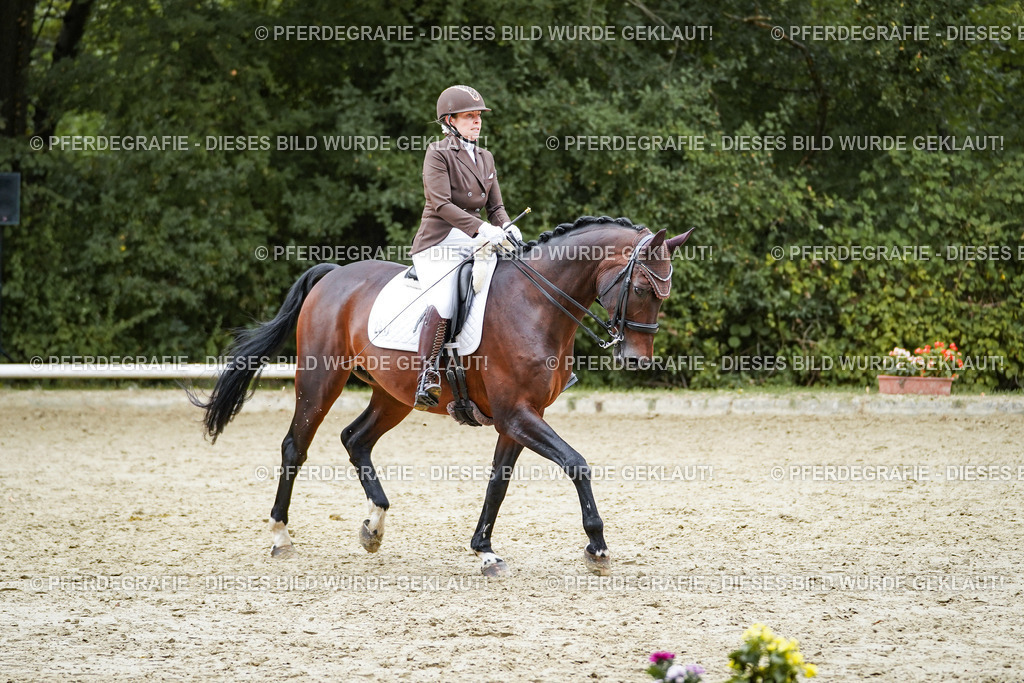 DSC01015 | Pferdegrafie