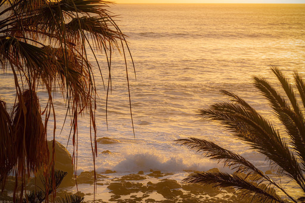 _DSC2693 | Hochwertig gedruckte Fotografien für die Wand, als Kalender und zum Verschenken. Hamburg & Norddeutschland und überall wo ich mit der Kamera unterwegs war.