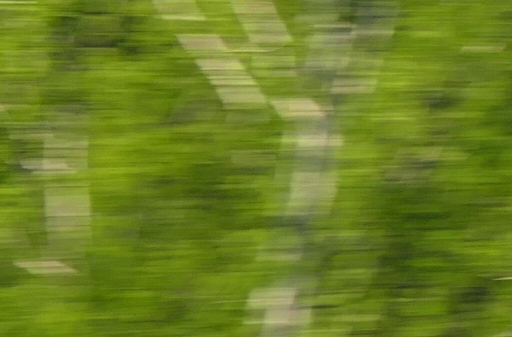 P3460978_c | Annaeherungen - Realisiert mit Pictrs.com