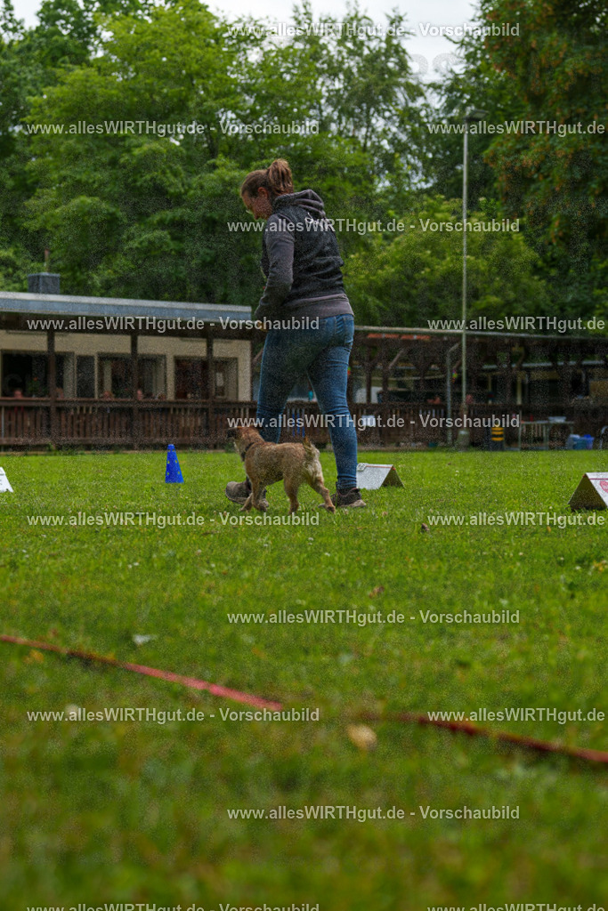 @allesWIRTHgut_Tierfotografie - www.allesWIRTHgut.de - 7R501956 | Professionelle Tierfotografie in Mönchengladbach von Daniel Wirth (allesWIRTHgut). Liebevolle & natürliche Bilder von Hunden & Katzen für unvergessliche Erinnerungen.