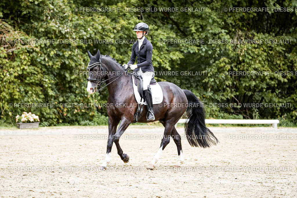 DSC05977 | Pferdegrafie