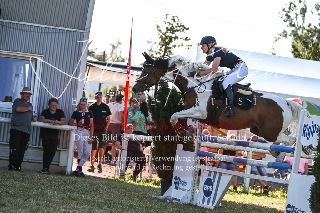 DSC_2861 | Pferde- und Turnierfotografie in Westsachsen. Pferdeportraits, Auftragszeichnungen und intuitive Kunst.