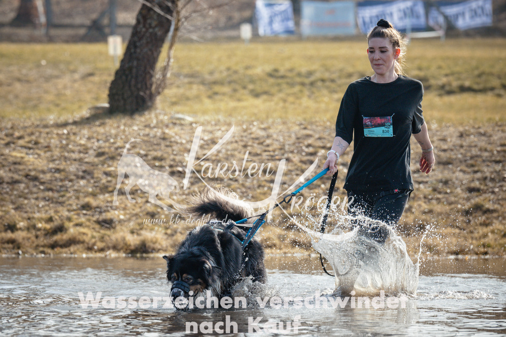 1133_ZZ95518 | kk-dogfotos