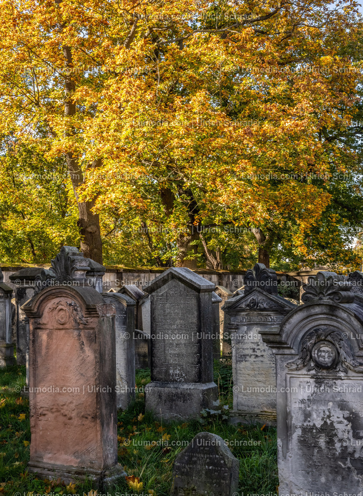 10049-12647 - Jüdische Friedhöfe Halberstadt | Stockfoto und Bilderpool mit Bildmaterial aus Deutschland, dem Harz, Halberstadt, Quedlinburg, Wernigerode und weltweit. Qualitativ hochwertige und professionelle Fotos anschauen und kaufen. - Realisiert mit Pictrs.com