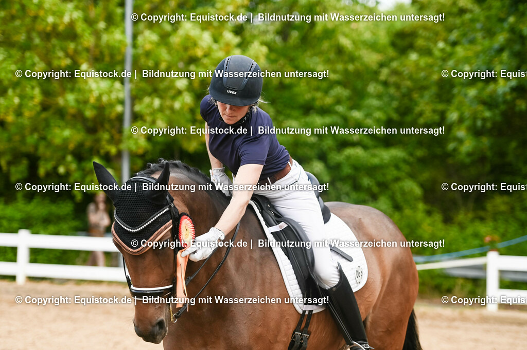 20230716_01_Dressurprüfung Kl.M_0641 | equistock