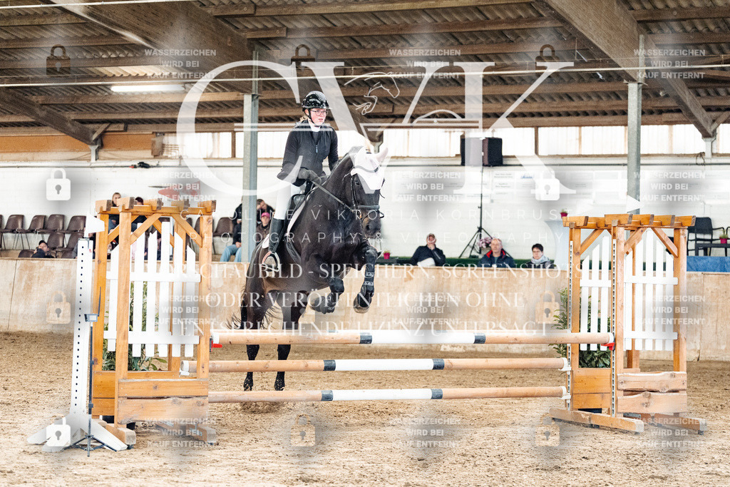 CK904504 | Turnierfotografie Pferdefotografie Trier Rheinland-Pfalz Pferdesport Reitsport Tierfotografie Sportfotografie Pferdevideo Pferdevideografie Equestrianvideography equestrianphotography  - Realized with Pictrs.com