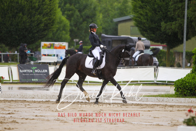 DKP40554 | Turniersportfotografie; Pferdefotografie; Dressurfotografie