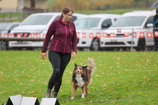 2025_Rally_Obedience_SM-178 | Ich fotografiere Hundeausstellungen, Sportanlässe, Zuchtstätten, Hundezucht, Hundeportrait, Lagotto - Realisiert mit Pictrs.com