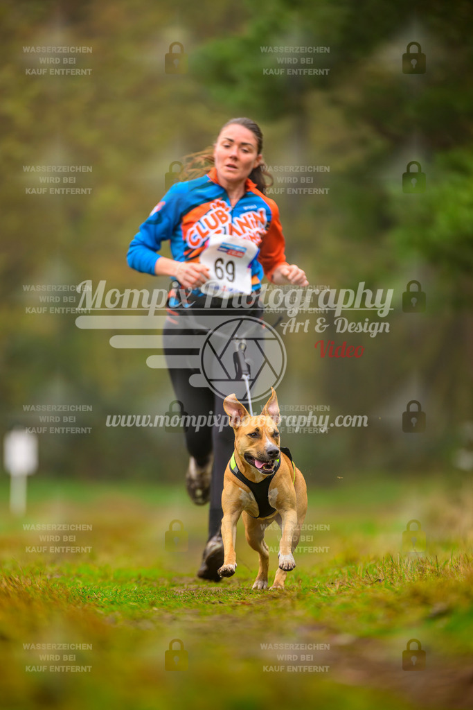 MompixPhotography_Bischwiller2025_Canicross-164 | mompixphotography