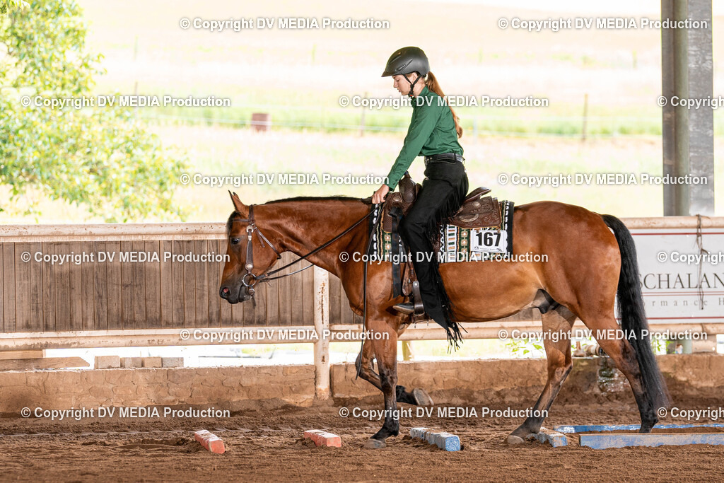 Erbach Tag 2-199 | dv-media-shop - Realisiert mit Pictrs.com