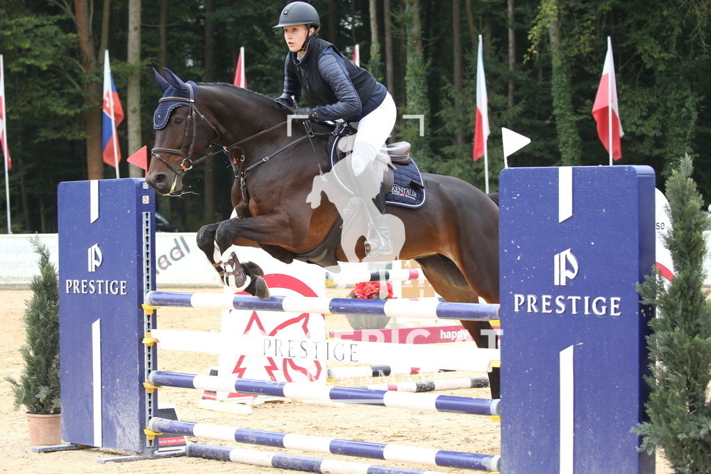 DL2Q4013 | Willkommen bei Brunnmayr - Design & Fotografie – Ihrem Spezialisten für Reitturniere und Pferdeveranstaltungen in Oberösterreich, Salzburg und Bayern! Seit über 17 Jahren sind wir leidenschaftlich dabei.