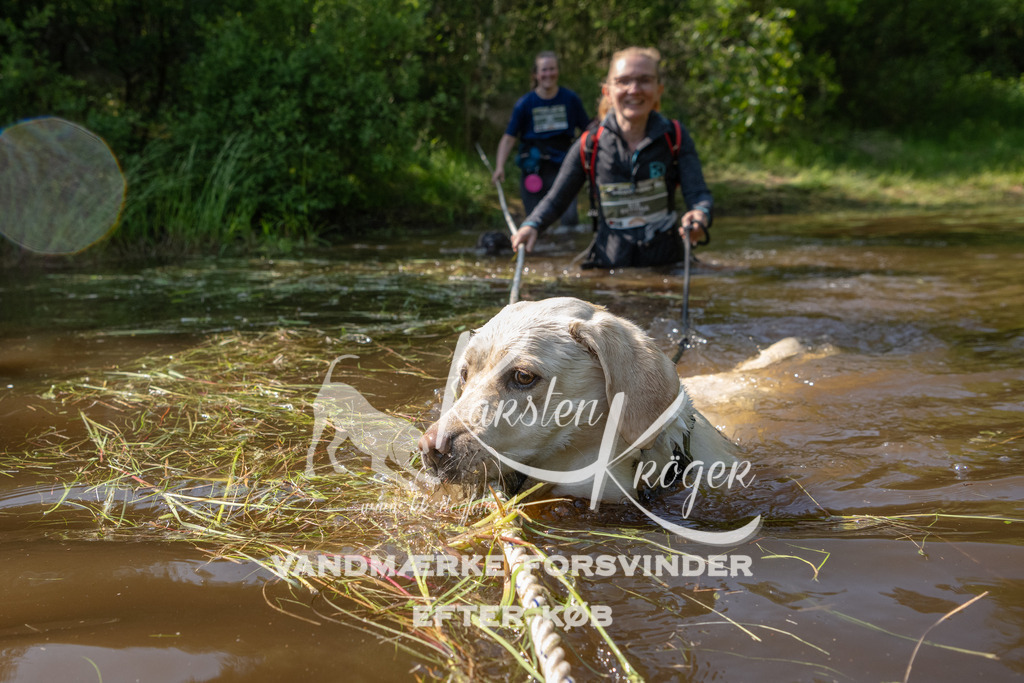 1627DKK990534 | kk-dogfotos