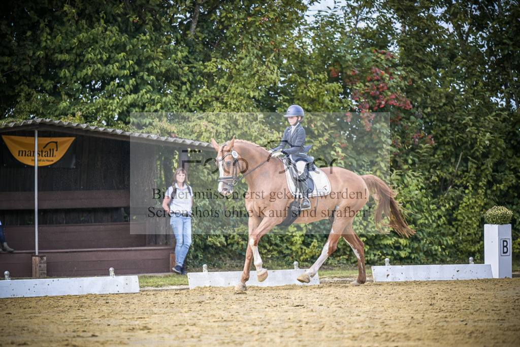 DOS_5908 | Entdecke hochwertige Reitturnierfotos von Foto Oger. Professionell, emotional und authentisch – jetzt Lieblingsmomente im Shop bestellen.Deutschlandweite Turnierfotografie. - Realisiert mit Pictrs.com
