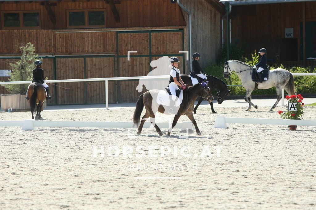 DL2Q0805 | Willkommen bei Brunnmayr - Design & Fotografie – Ihrem Spezialisten für Reitturniere und Pferdeveranstaltungen in Oberösterreich, Salzburg und Bayern! Seit über 17 Jahren sind wir leidenschaftlich dabei.