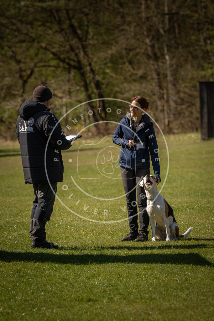 Pfotenfotografie_DV3A0666 | Hundefotografie, Tierfotograf, Pfotenfotografie, Fotoshooting Hund, Hunde Portrait, Hundesport, Hundeportraits, Heideshooting, Hunde, Sportfotograf, Hundefotograf, Turnierhundsport, THS,  - Realisiert mit Pictrs.com