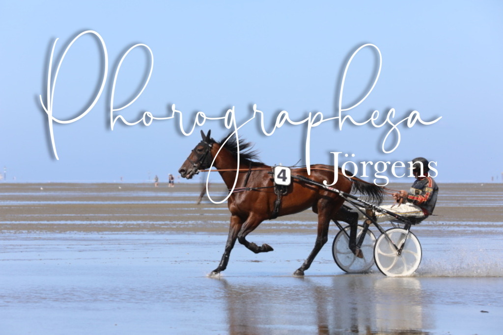 IMG_9513 | photographesa-joergens - Realisiert mit Pictrs.com