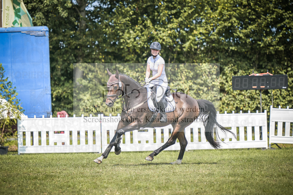 DOS_3812 | Entdecke hochwertige Reitturnierfotos von Foto Oger. Professionell, emotional und authentisch – jetzt Lieblingsmomente im Shop bestellen.Deutschlandweite Turnierfotografie. - Realisiert mit Pictrs.com