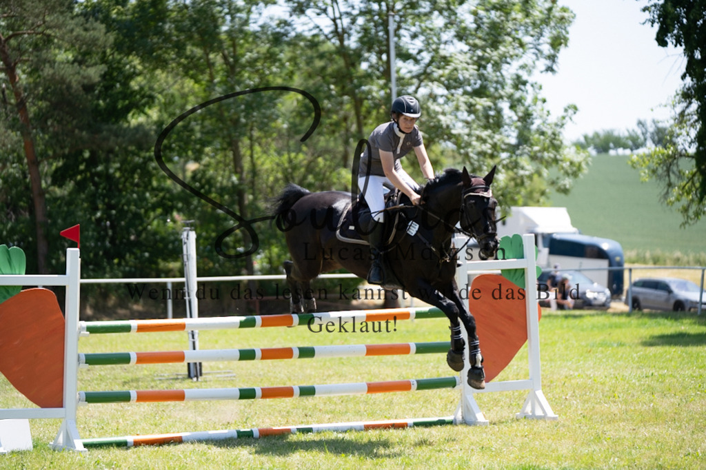 A7V06200 | Pferdefotograf