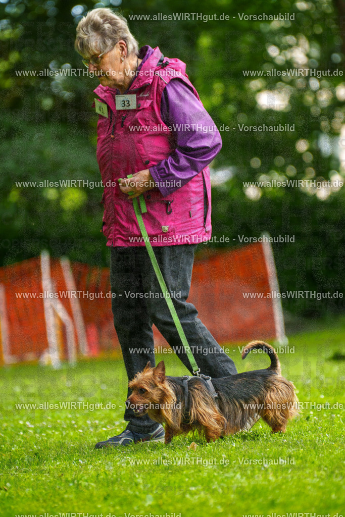 @allesWIRTHgut_Tierfotografie - www.allesWIRTHgut.de - 130639-7R509781 | Professionelle Tierfotografie in Mönchengladbach von Daniel Wirth (allesWIRTHgut). Liebevolle & natürliche Bilder von Hunden & Katzen für unvergessliche Erinnerungen.
