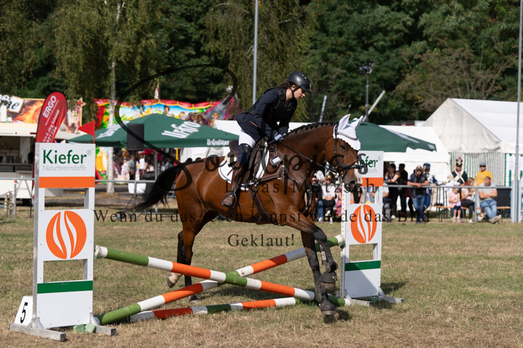 A7V08467 | Pferdefotograf