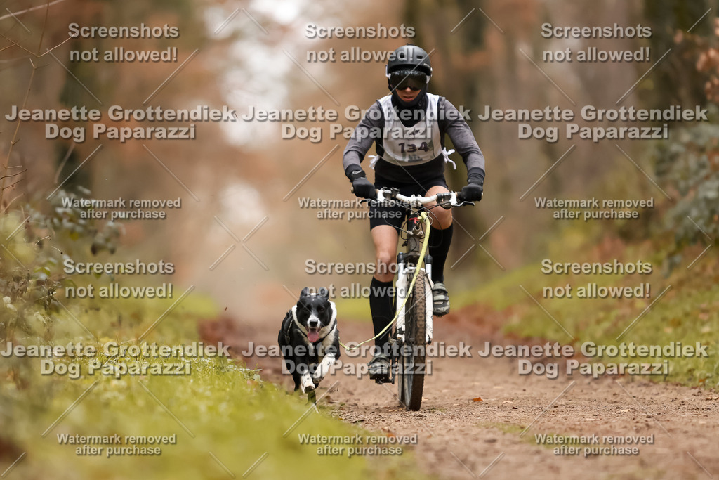 Dog Paparazzi - Speedhunter Mannheim  2025-374 | Dog Paparazzi Jeanette Grottendiek Fotografie & Videografie