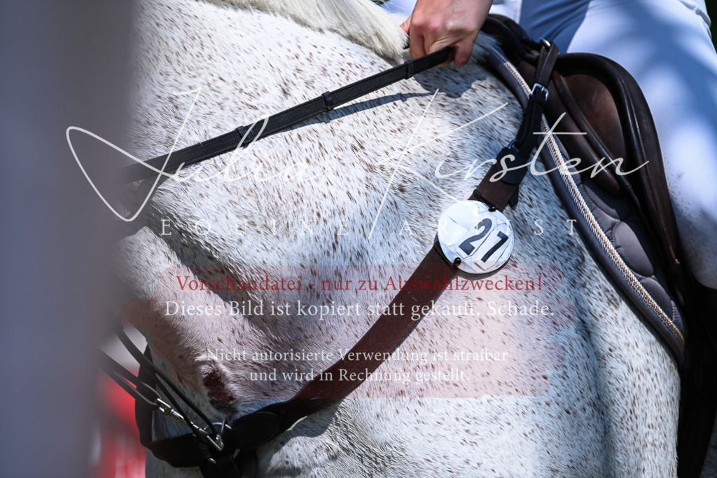DSC_1077 | Pferde- und Turnierfotografie in Westsachsen. Pferdeportraits, Auftragszeichnungen und intuitive Kunst.
