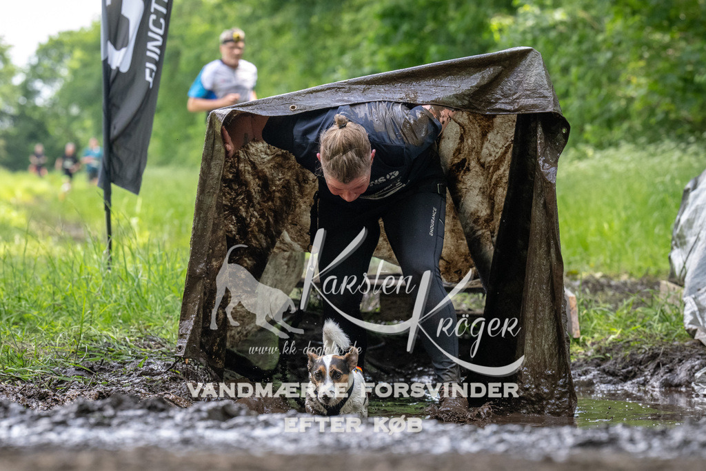 1246_ZZ93363 | kk-dogfotos