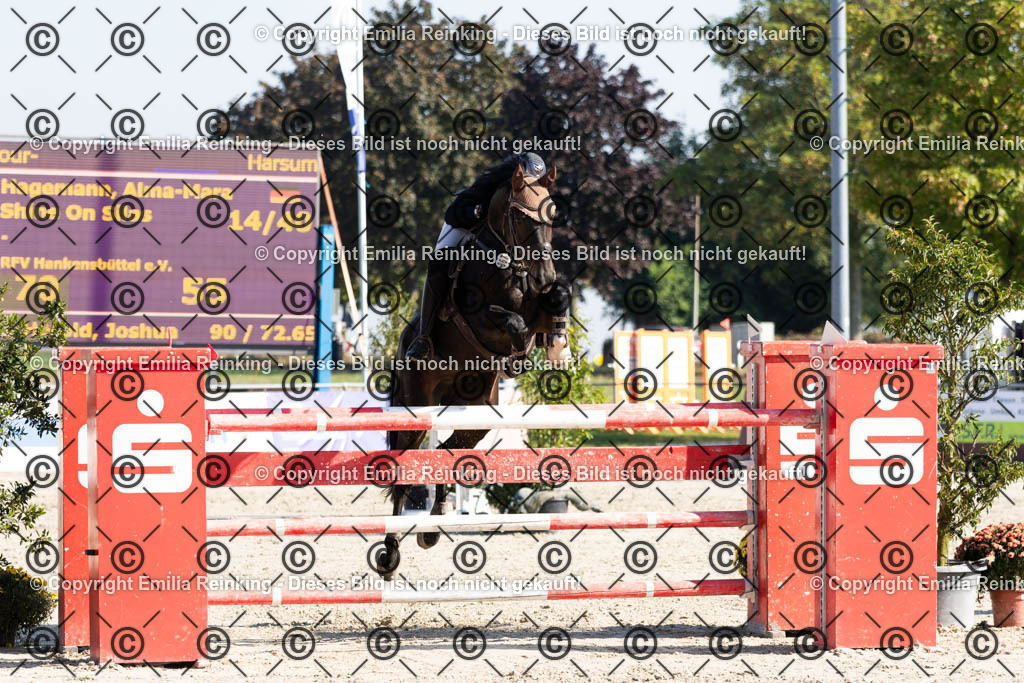 CL5A6081 | Emilia Reinking Fotografie - Realisiert mit Pictrs.com