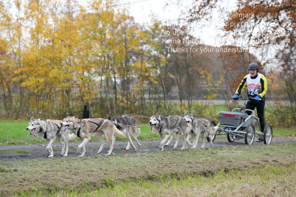 Visbeck_Sa_D4_6-5 | stephaniefillaphotographie - Realisiert mit Pictrs.com