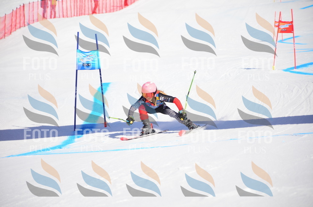 VR4_8907 | holidayphoto